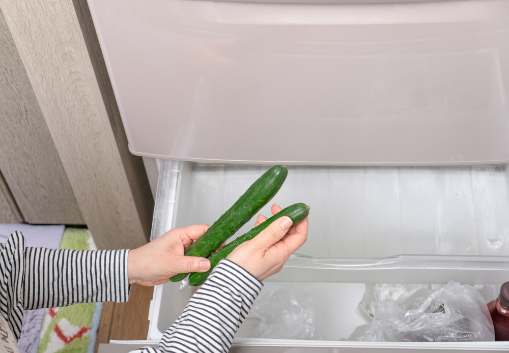 腐ったきゅうりの見分け方。味や臭いは？原因と対処法も解説 - Fily
