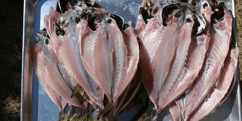 干物屋さんの干物の作り方！魚の捌き方から塩分濃度まで解説します福井の越前宝や 越前たからや