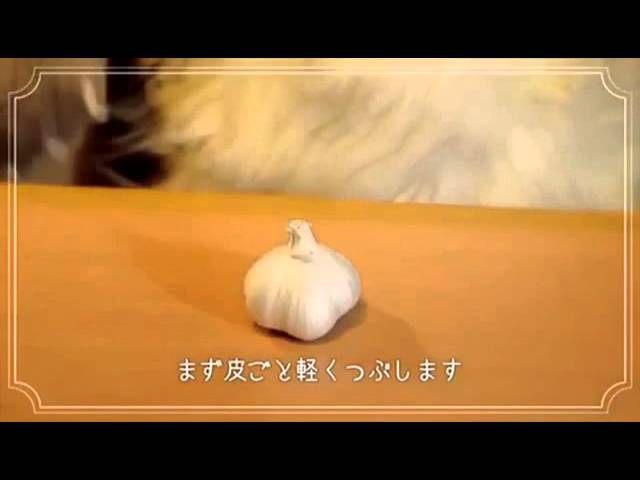 カルト的人気を誇るJAのリス『ちょリス』。相変わらずの謎画像公開おたくま経済新聞