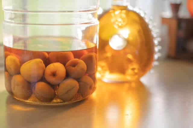 梅酒用ブランデー自家製梅酒におすすめ！人気の美味しいブランデーの通販ランキングベストオイシ