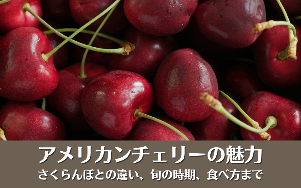 アメリカンチェリーの魅力を徹底解説！さくらんぼとの違いや旬の時期、美味しい食べ方まで産直プライムブログJA連携！産地直送通販なら産直プライム