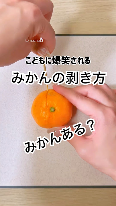 みかんの皮工作 : 東京都小平市 絵画造形「アトリエことこと」