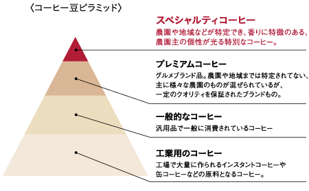 焙煎度合いに合わせた抽出温度の選び方 〜翻訳シリーズ10