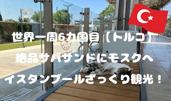 サバサンドはイスタンブールの名物グルメ！簡単レシピもご紹介 トルコ旅行・トルコツアー おすすめプラン満載の ターキッシュエア＆トラベル