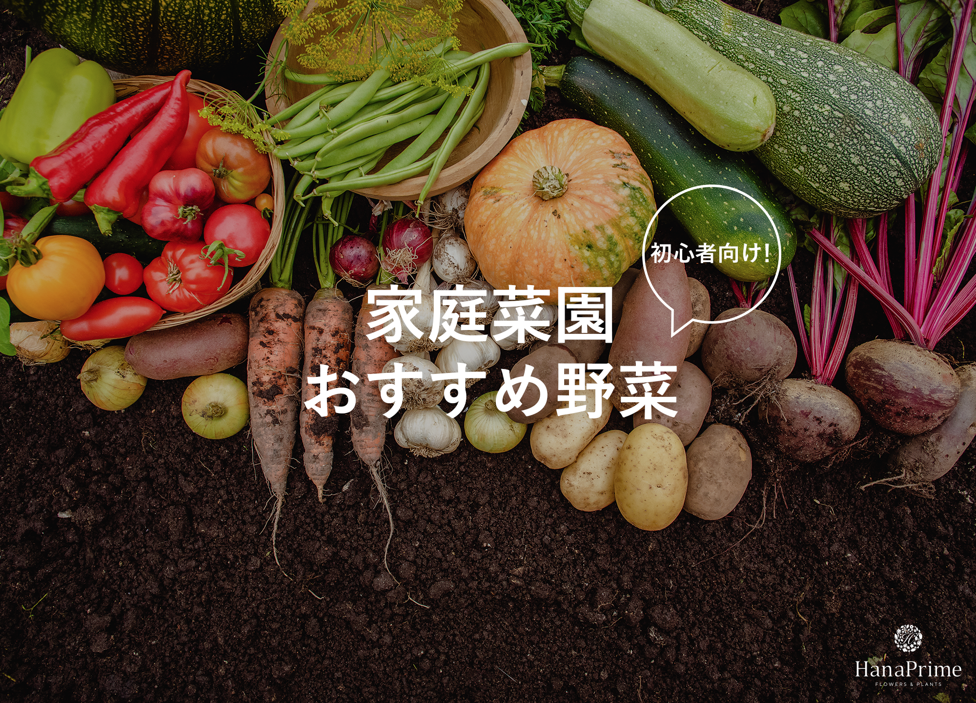 家庭菜園 春に植える野菜おすすめ43選、栽培や収穫のコツLOVEGREEN ラブグリーン