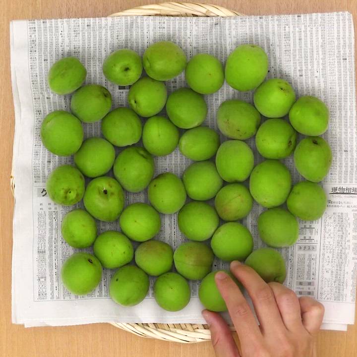 程よい硬さが楽しめる！青梅で漬ける梅干しの作り方とおすすめの活用法梅干し通販店 五代庵