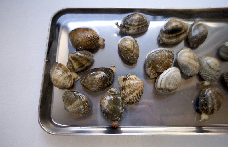 10分で完了！お湯でアサリの砂抜き レシピ・作り方Tasty
