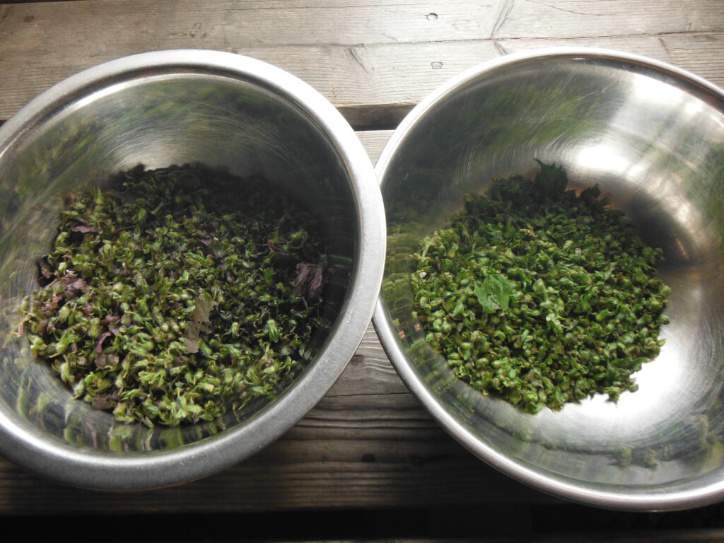 しその実の塩漬け