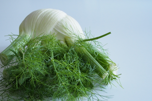カナダで初めて見た野菜 カナダワウネタ海外生活