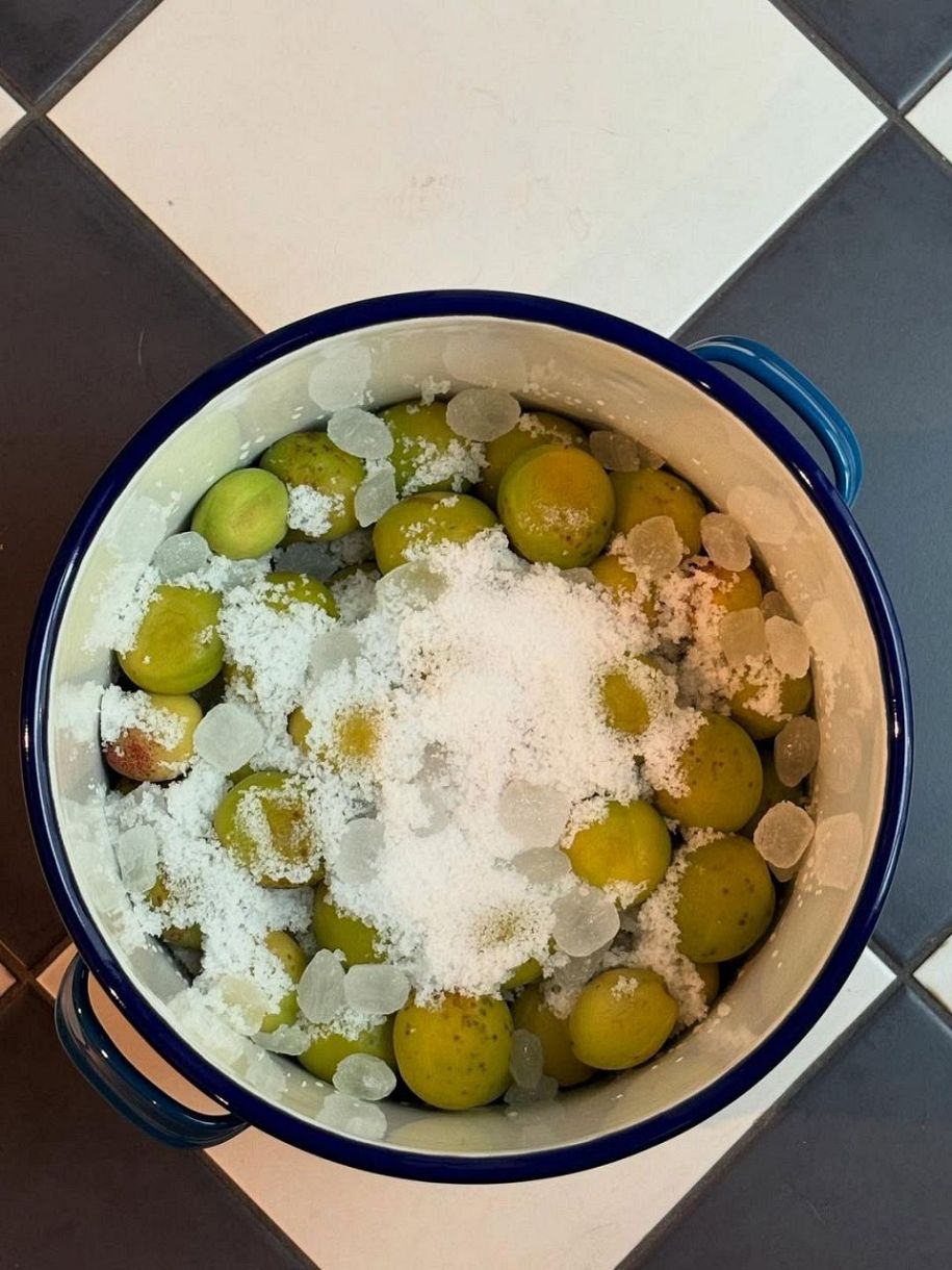 手作り梅干し 塩分補給は無添加の梅干し！栗原はるみさんレシピで簡単失敗なし！Yumi Miyai Official Blog