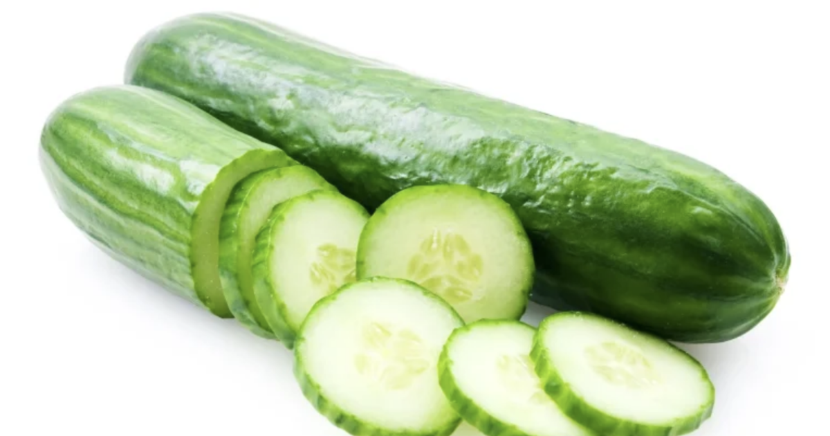 きゅうり品種ランキング＆一覧世界の珍しい種類と美味しい食べ方MOVLマイオーガニックベジライフ