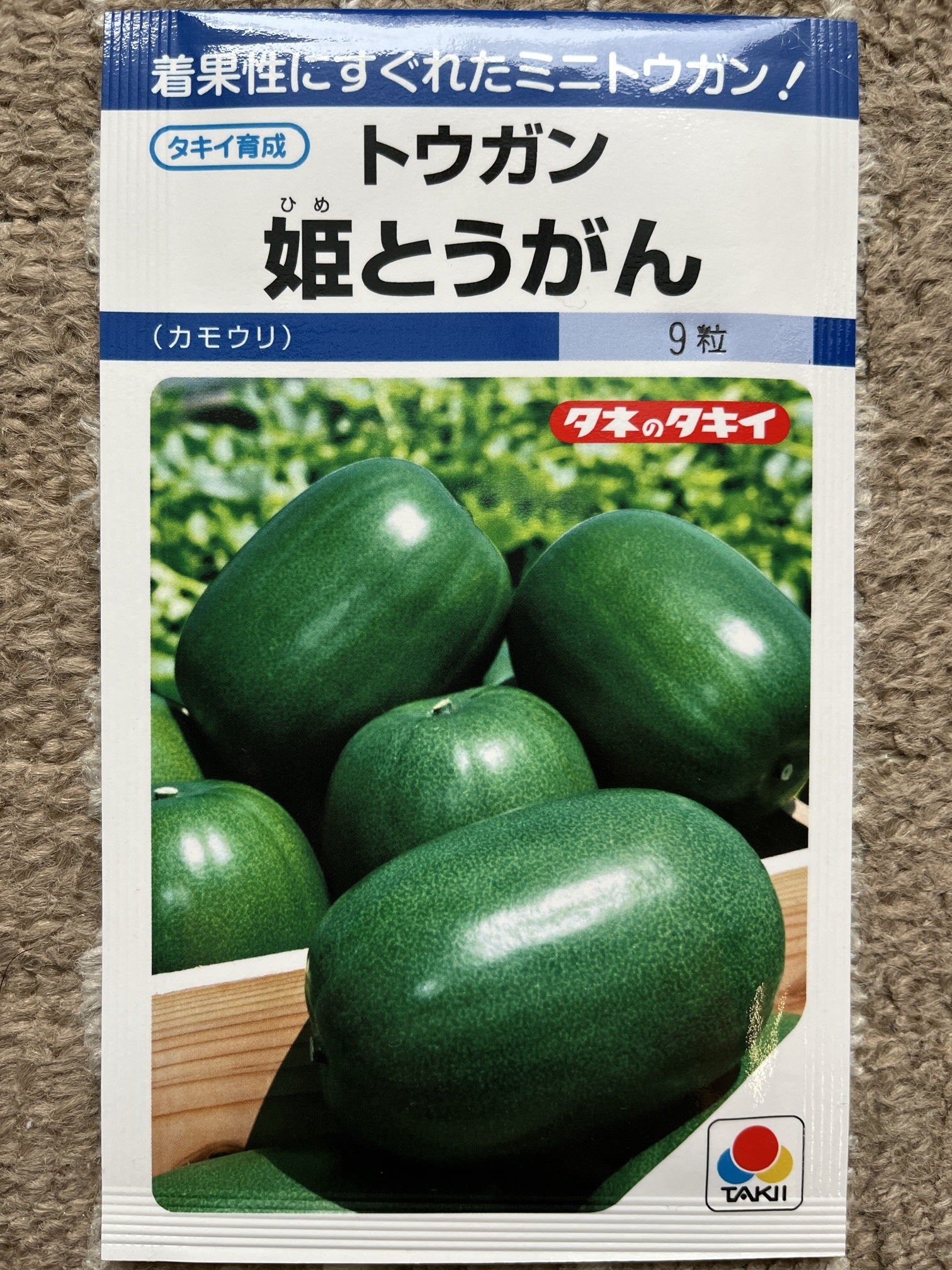 ミニ冬瓜 とうがん品種:F1こまちゃん野菜苗9cmポット 3個セット植物のＩＴＡＮＳＥ 全品送料無料・即出荷