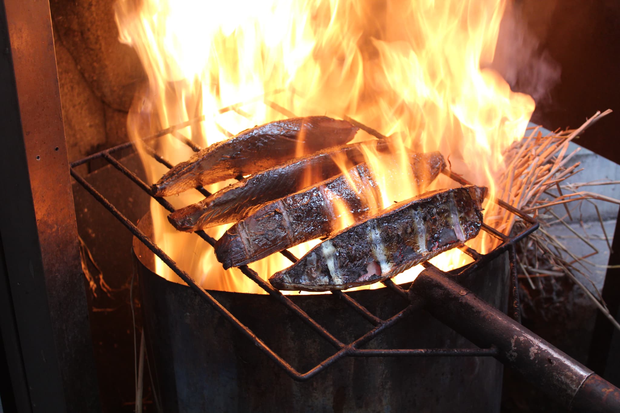 訳あり藁焼き鰹たたき 1.2kg 3～6節1200g 鰹 藁焼き カツオ たたき 鰹のたたき かつおのたたき カツオのたたき 鰹のタタキ かつお高知 つまみ かつおたたき 刺身 たれ 塩 訳アリ 高知県土佐市ふるさと納税サイト「ふるさとプレミアム」