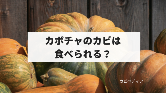 かぼちゃの冷蔵保存での白カビの発生を抑える対策をしてみた！結果はいかに