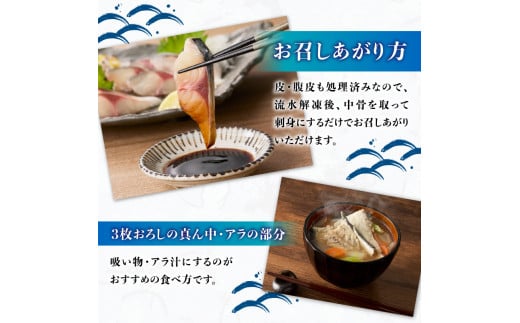 関アジ・関サバって何がすごいの？ 詳細と入手法をチェックして、国内最高峰の刺し身を堪能！HugKum はぐくむ