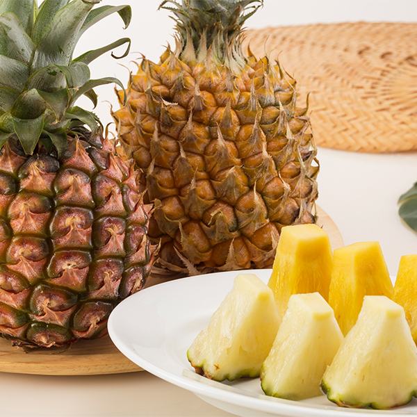 パイナップル畑 石垣 沖縄県 25041021688 の写真・イラスト素材アマナイメージズ