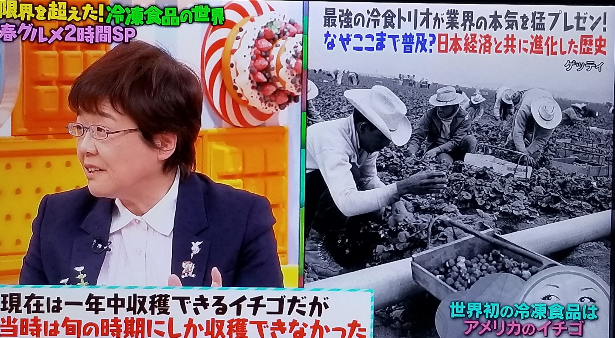 マツコの知らない世界で知ったマルハニチロの冷凍食品“ワイルドディッシュ”でお弁当ランチひのえの食い倒れグルメ日記