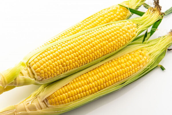 管理栄養士コラム「夏の食材～とうもろこし～」たんぽぽ薬局株式会社