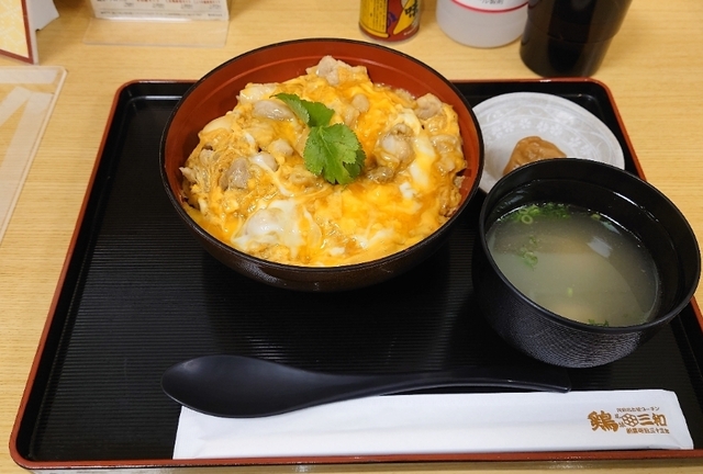 京都駅ランチ25選 ひとりでも安心！コスパ最高のおすすめのお店を厳選駅ビル・駅周辺・Map付きTABIZINE～人生に旅心を～