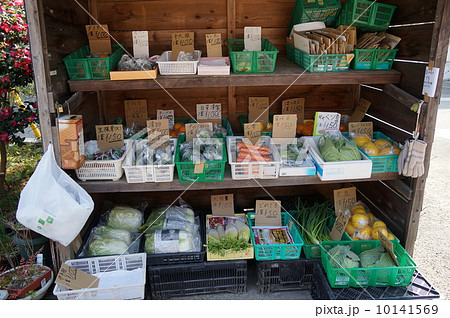 多肉植物がずらり！綾歌町でひっそりと佇む、ぷっくりとかわいい癒しの世界♪まるごと・中讃つーしん