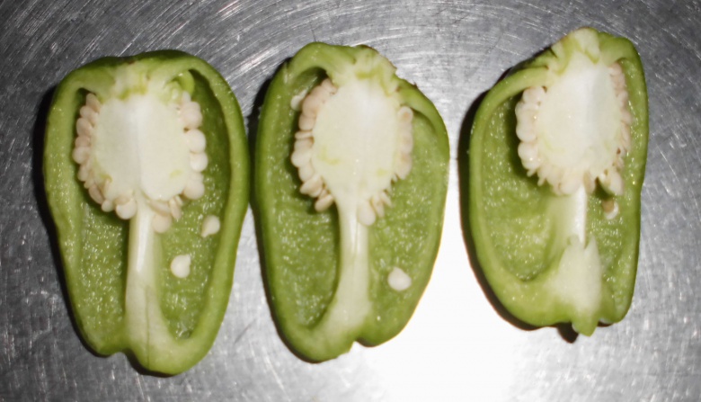 ピーマンの天ぷら相愛日記