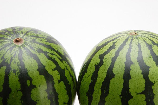 三角切りのスイカ 写真素材2037193無料 - フォトライブラリ