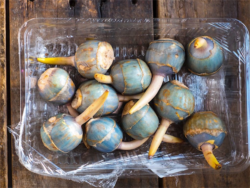 栄養士が考えた カラダにうれしいフルーツ青汁 3g×20包入カワチ薬品