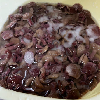 極上極小粒 天然アミタケの塩漬け300g 他少量オマケ有り野菜 きのこ 産直アウル 農家から直接野菜などの食材を購入できる産地直送の宅配通販サイト