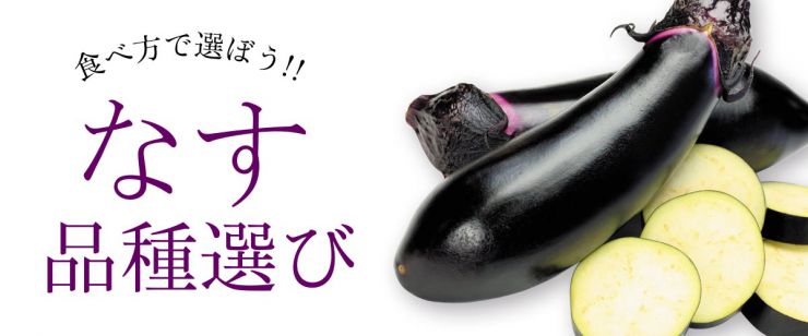 なす 茄子 産地 野菜 栄養 機能性 調理