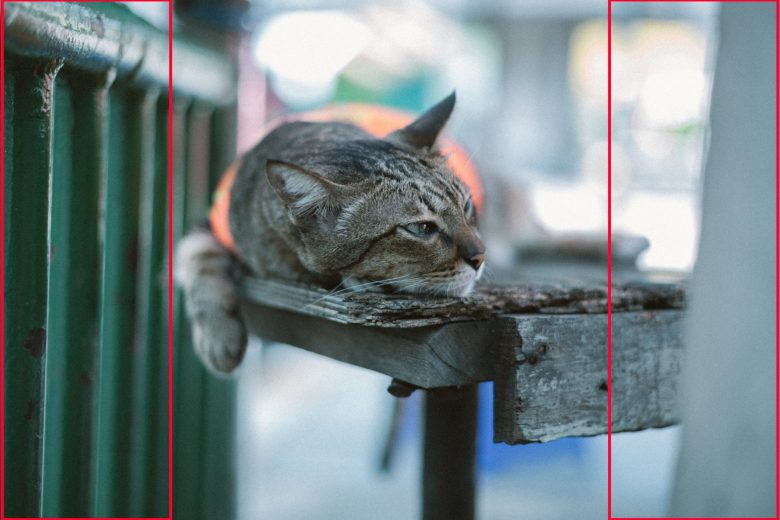 印象的な1枚を撮影するときに使える「サンドイッチ構図」 - 僕でもできた！ 「最短で結果を出す」ポートレート撮影講座 19マイナビニュース