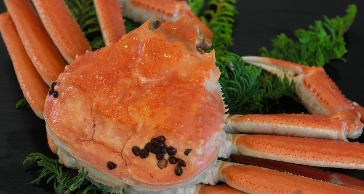 生カニの冷蔵・冷凍の日持ち・賞味期限は何日?腐るとどうなる?お役立ち！季節の耳より情報局