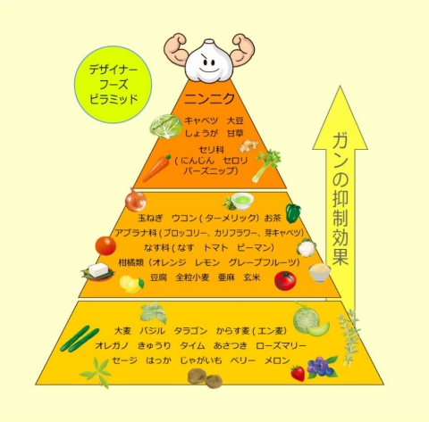 デザイナーフーズ・ピラミッドからみると・福島りょうぜん漬本舗