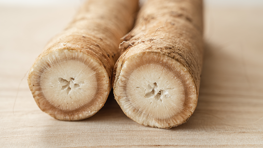 ごぼうの保存 冷蔵・冷凍の保存方法と洗い方・アク抜き・選び方を詳しく解説ふるなび公式ブログ ふるさと納税DISCOVERY