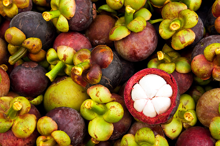 コラム インドネシアの農産物最新データ①野菜編インドネシア総合研究所