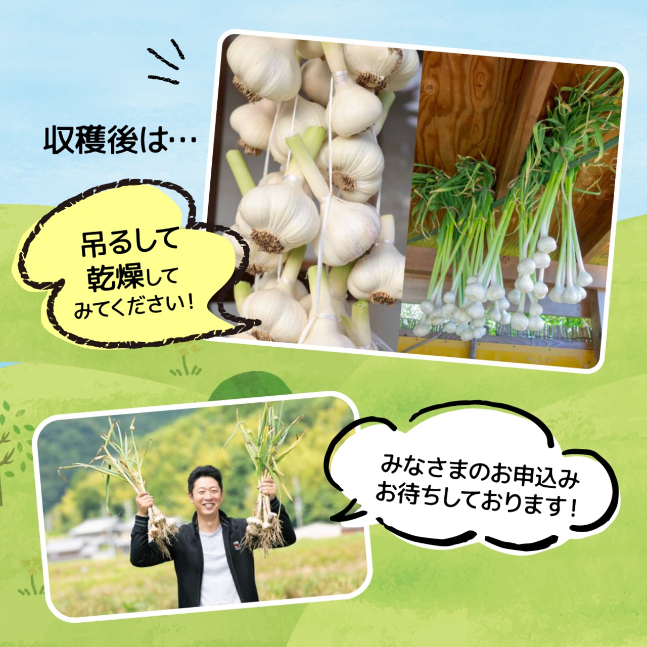 ニンニクの干し方ニンニク栽培.com