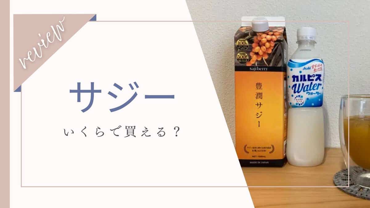 カルピスで薄めても美味しい！ 業務スーパー クセになる味わい「サジージュース」で栄養補給ヨムーノ