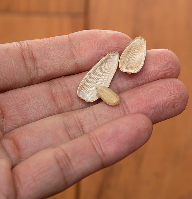 食用ヒマワリの種やカボチャシードなど健康的おやつのおすすめプレゼント口コミ人気ランキングocruyo オクルヨ