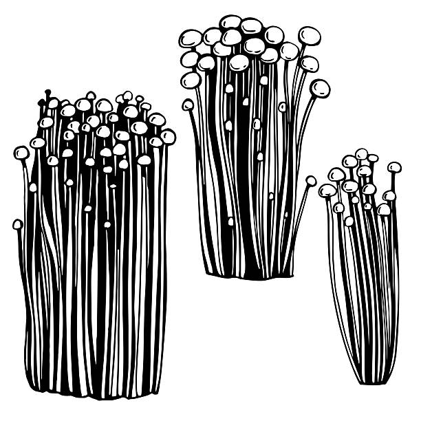 iPhone スクリーンタイムに「jp.hao123.com」！？原因不明の怪現象、解決策を解説！中小企業情報セキュリティ推進＋DX推進情報