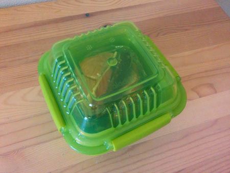 テイクアウト容器 100個 使い捨て 弁当箱 フタ一体型 バガス モールド エコ ハンバーガー サンドウィッチ ケース フードパック 蓋付き 業務用弁当容器 弁当パック ランチボックス 出前 宅配 持ち帰り 使い捨て容器 紙容器 冷凍 レンジ対応 耐水 耐油 持ち帰り 容器 エコ