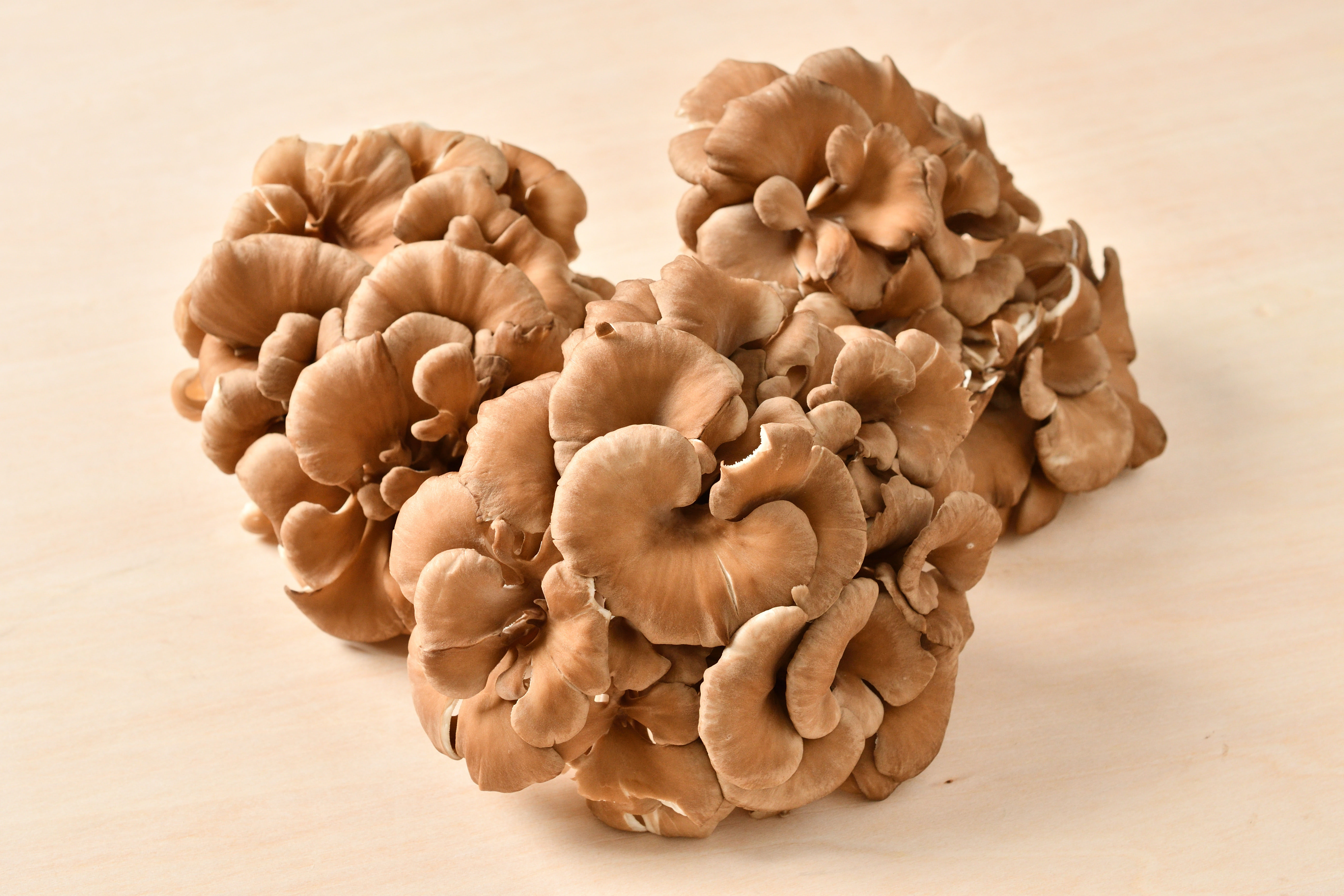 間違ってたかも！？」舞茸はどこまで食べられる？石づきはあるの？元スーパーの店員が解説 ぱるとよ- エキスパート - Yahoo!ニュース