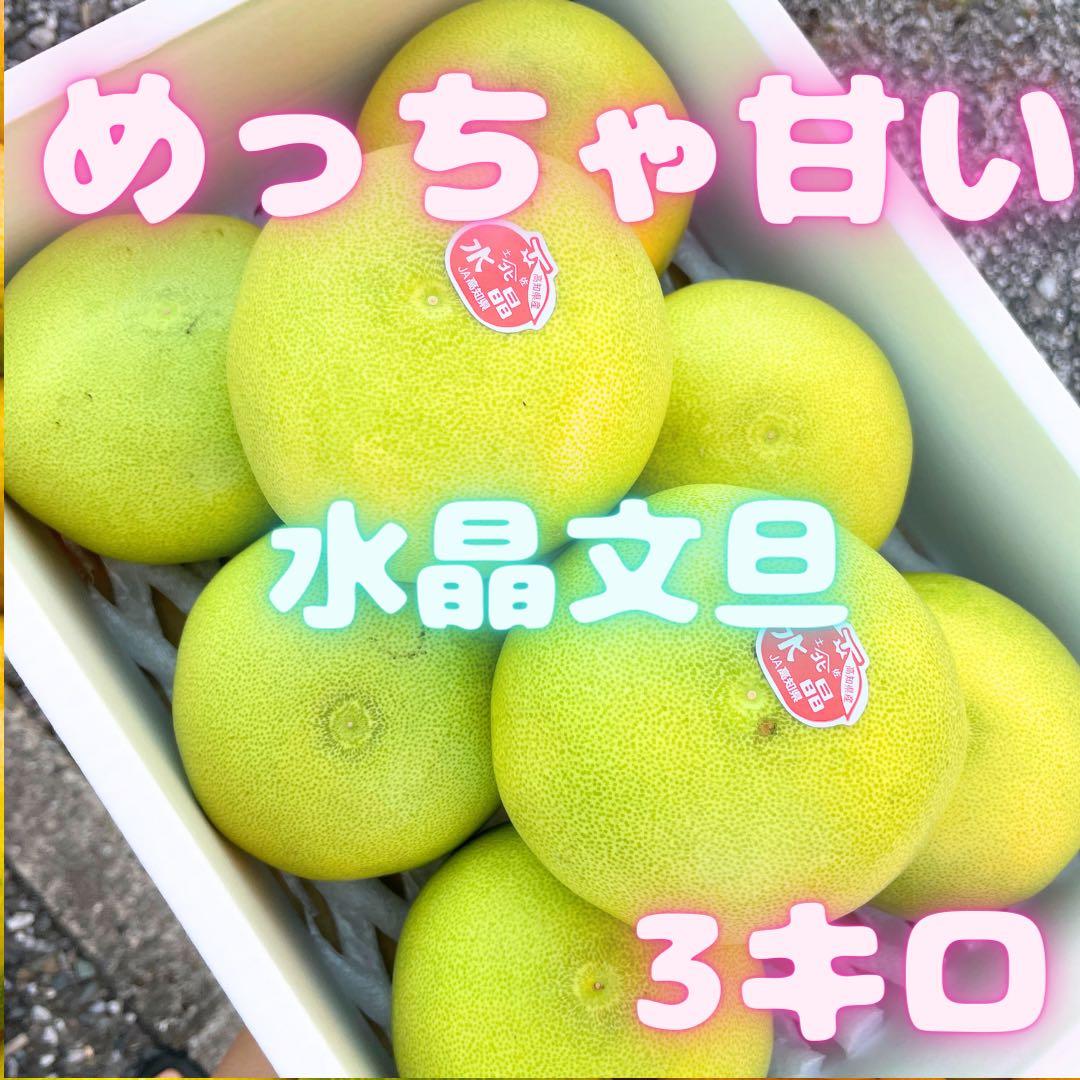 秋 Autumn fruits,水晶文旦フルーツショップオザキ