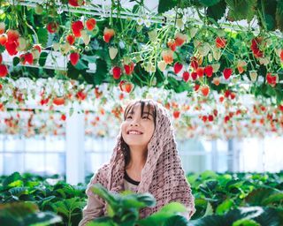 the BERRY YOKOHAMA」 “空から降り注ぐ”天空のいちご狩りを1月21日からスタートLien