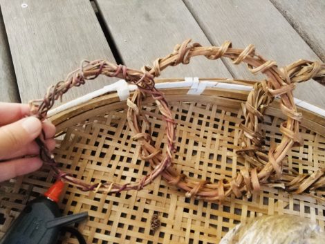 伸びすぎたサツマイモのツルを切る- 切り撮りLittle Garden