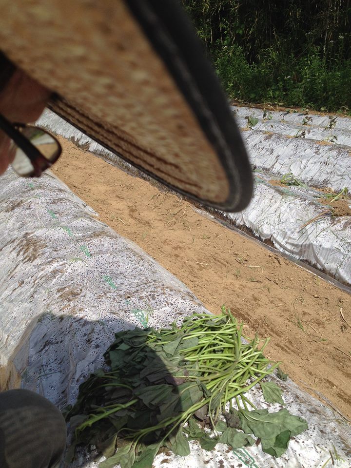 つぼ焼き芋の壺制作 サツマイモ作ってみます！㉟
