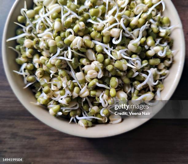 Bean Sprout Salad もやしのナムル • Just One Cookbook