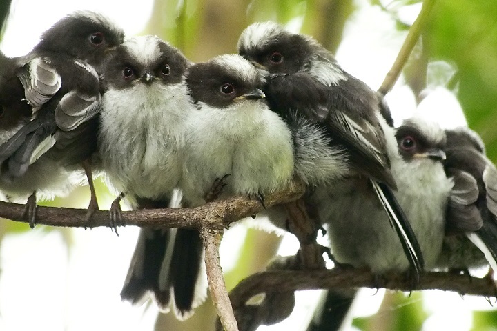お団子で目ツッテル👽 イン事務所 うーたんのマイク届いてたんだけど 今年20歳のなえにうーたんのマイクを送ってくれるセンス好き