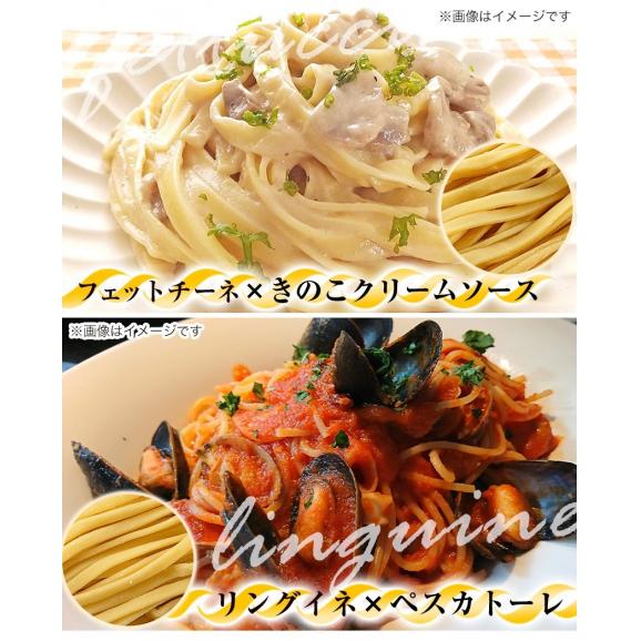 冷凍パスタ商品情報日清製粉ウェルナ