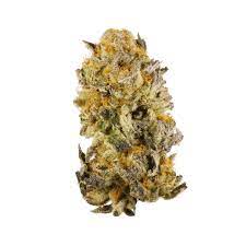 Lemon Skunk – Seeds Brasil