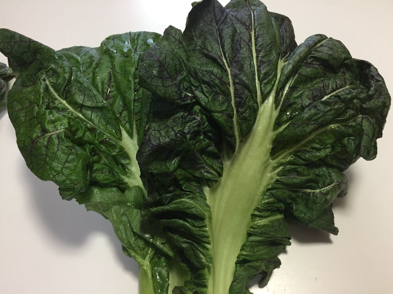 グンマー自慢の謎の『葉っぱ』 正体がわからないから調べてみた – grapeグレイプ