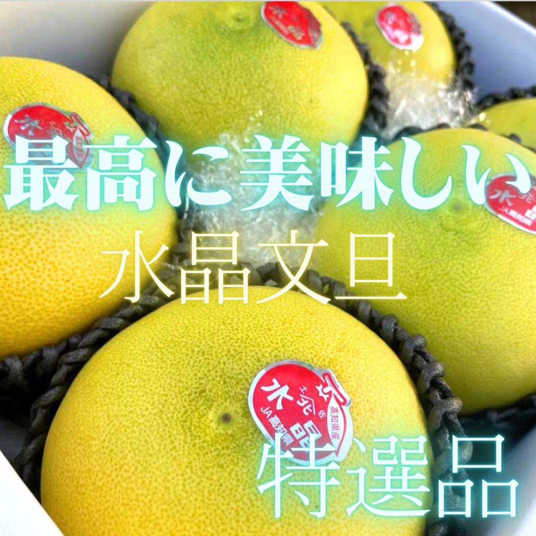 先行予約受付！高知県香南市産 水晶文旦 約5kg 5～８玉入り - 送料無料 果物 くだもの フルーツ 柑橘 ブンタン ぶんたん みずみずしいデザート 期間限定 おすそ分け 贈答 高知県 香南市 ku-0034マイナビふるさと納税